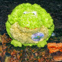 Uživatelský avatar